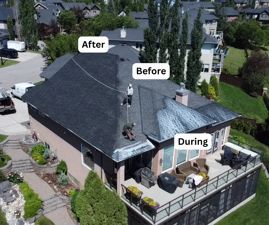 Roof rejuvenation in Natrona County — Casper-area asphalt shingle roof — after GreenSoy™ rejuvenation